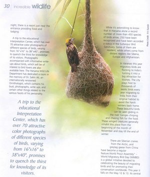 Male Baya Weaver on the article on Sultanpur Bird Sanctuary in January 2008 issue of Incredible India