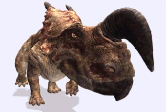 Einiosaurus_procurvicornis_1.jpg