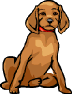 adorable dogs