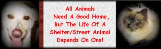 courtesy animals in distress sanctuary