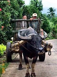 farmers