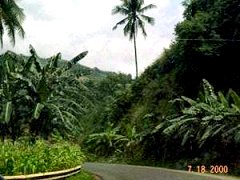 from the road