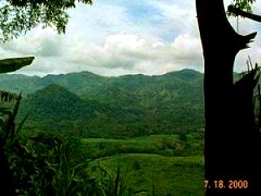 Paradise Valley