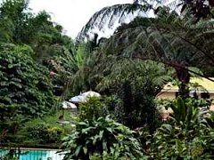 Buenos Aires gardens