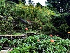 Buenos Aires gardens