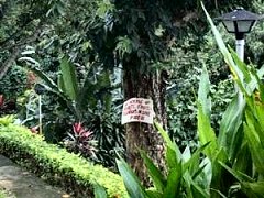 Buenos Aires gardens
