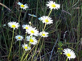 Klamath River Hike
