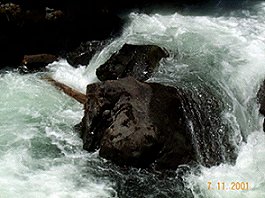 Rogue River Gorge