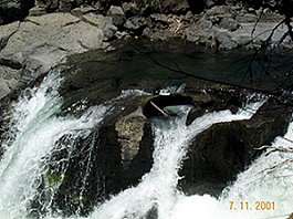 Rogue River Gorge