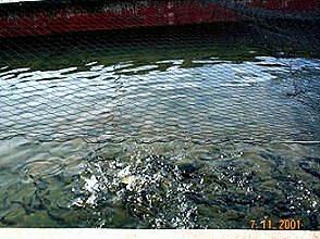 Cole Rivers Fish Hatchery