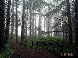 Cape Meares