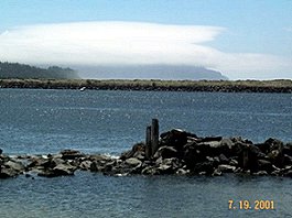 Garibaldi