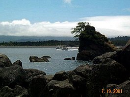 Garibaldi