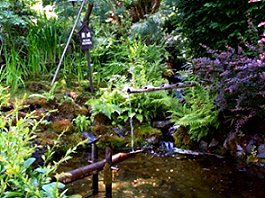 Butchart Gardens
