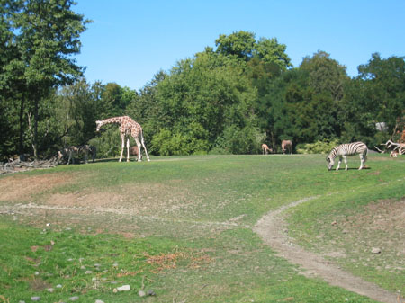 1stzoo3