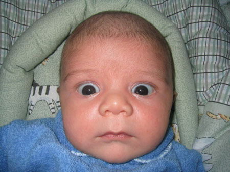 alittlescary