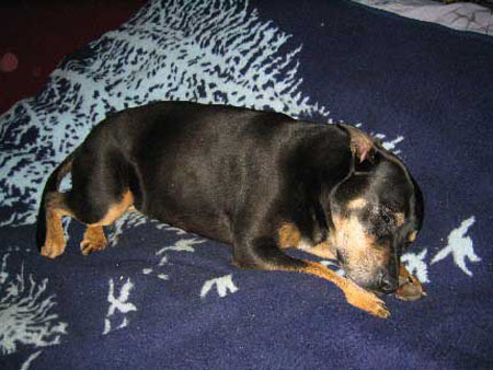 celieSleeping2