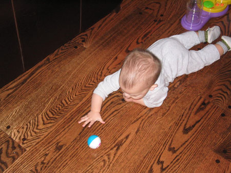 crawler