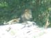 1stzoo5