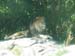 1stzoo6