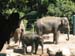 1stzoo8