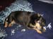 celieSleeping2