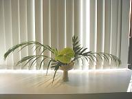 Antorium, Philodendren, Palm