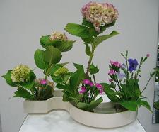 Hydrangea, Ballon Flower, Pink Dianthus