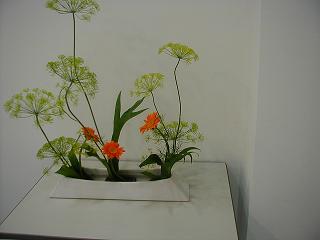 Fennel, Polypodium, Gerbera