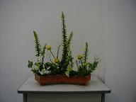 Sword Fern, Ranun Culus, Sweet Pea, Asparagus