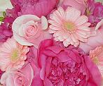 Click to see the bouquet