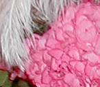 Click to see the arrangement