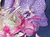 Click to see the arrangement