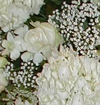 Click to see the arrangement