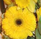 Click to see the arrangement