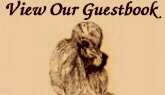View_Guestbook_O.jpg (8032 bytes)