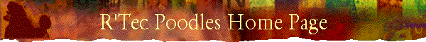 index_title.gif (16763 bytes)