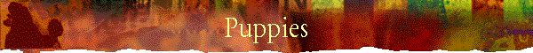 puppies_title.gif (16617 bytes)