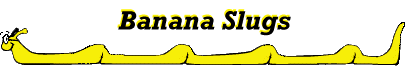 Banana Slugs