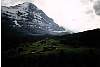 48grindelwald2.jpg