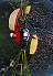 64hglookdown.jpg