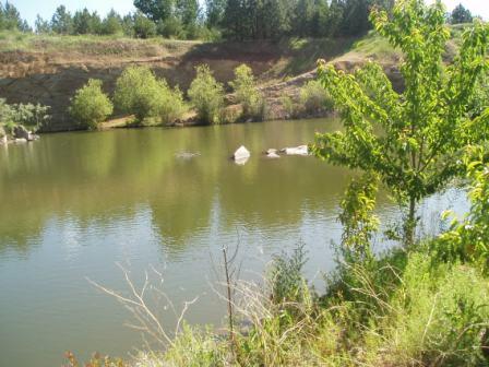 backpond1