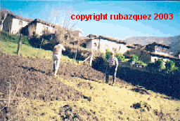 En la huerta