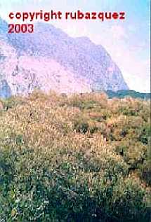 Vista del puerto Ag�eria