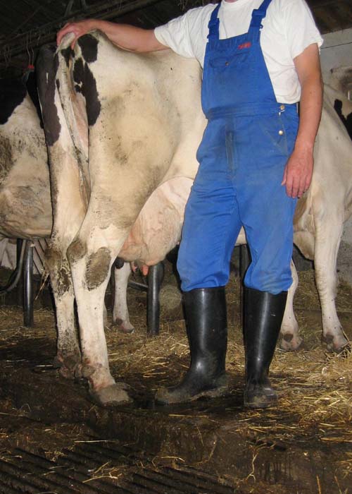 Overalls and Rubber Boots