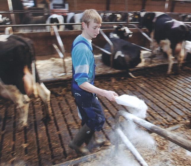 Overalls and Rubber Boots