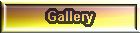 gallery.jpg (2214 bytes)