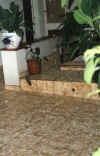 hail1.jpg (64024 bytes)