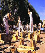 corta tueros