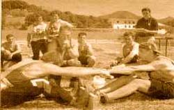 tiru'l palu